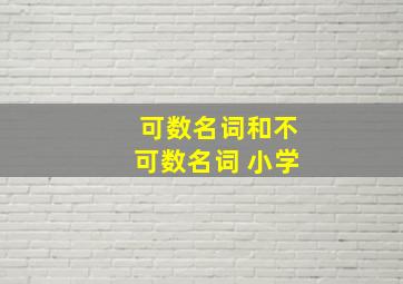 可数名词和不可数名词 小学